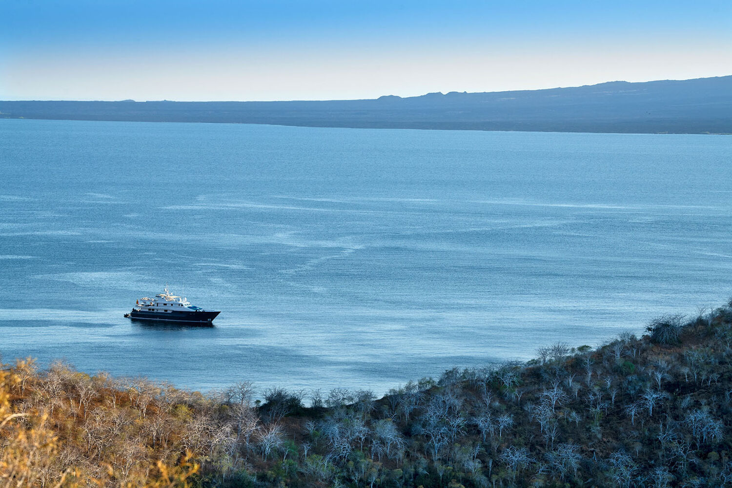 PlaceholderImage1302